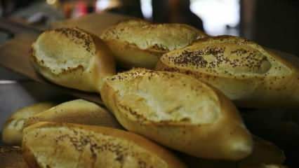 Hogyan értékelik az elárasztott kenyeret? Receptek elkészített kenyérrel
