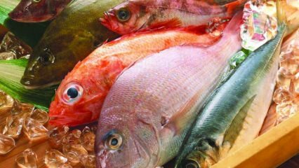 A halak hatása az immunitásra! Milyen előnyei vannak a halaknak? Hogyan fogyaszthatjuk a legegészségesebb halakat?
