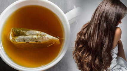 Milyen előnyei vannak a zöld teanek a haj számára? Zöld tea bőr maszk receptje