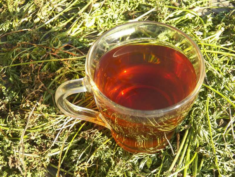magból készült sárgarépa tea