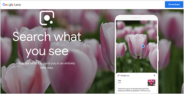 Ez a képernyőkép a Google Lens webhelyéről. Egy fehér sáv jelenik meg a webhely tetején. Bal oldalon a Google Lens név látható. A jobb oldalon egy kék Letöltés gomb található. A weboldal fő területén van egy fényképes háttér, amely a változatos rózsaszínű tulipánok virágzását mutatja. A bal oldalon, a háttérkép felett fehér Google Lens logó jelenik meg, a következő szöveggel együtt: „Keresd meg, amit látsz” és „Fedezd fel, mi van körülötted egy teljesen új módon”. A jobb oldalon egy okostelefon szimulációja mutatja a Google Lens alkalmazást, amely tulipánt azonosít. Mike Rhodes szerint a Google Lens a mesterséges intelligencia példája.