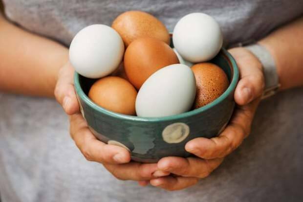 Hogyan történik az ökológiai tojásanalízis?