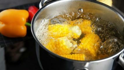 Hogyan készítsük el a legegyszerűbb főtt kukoricát? Főtt kukorica válogatási módszerek