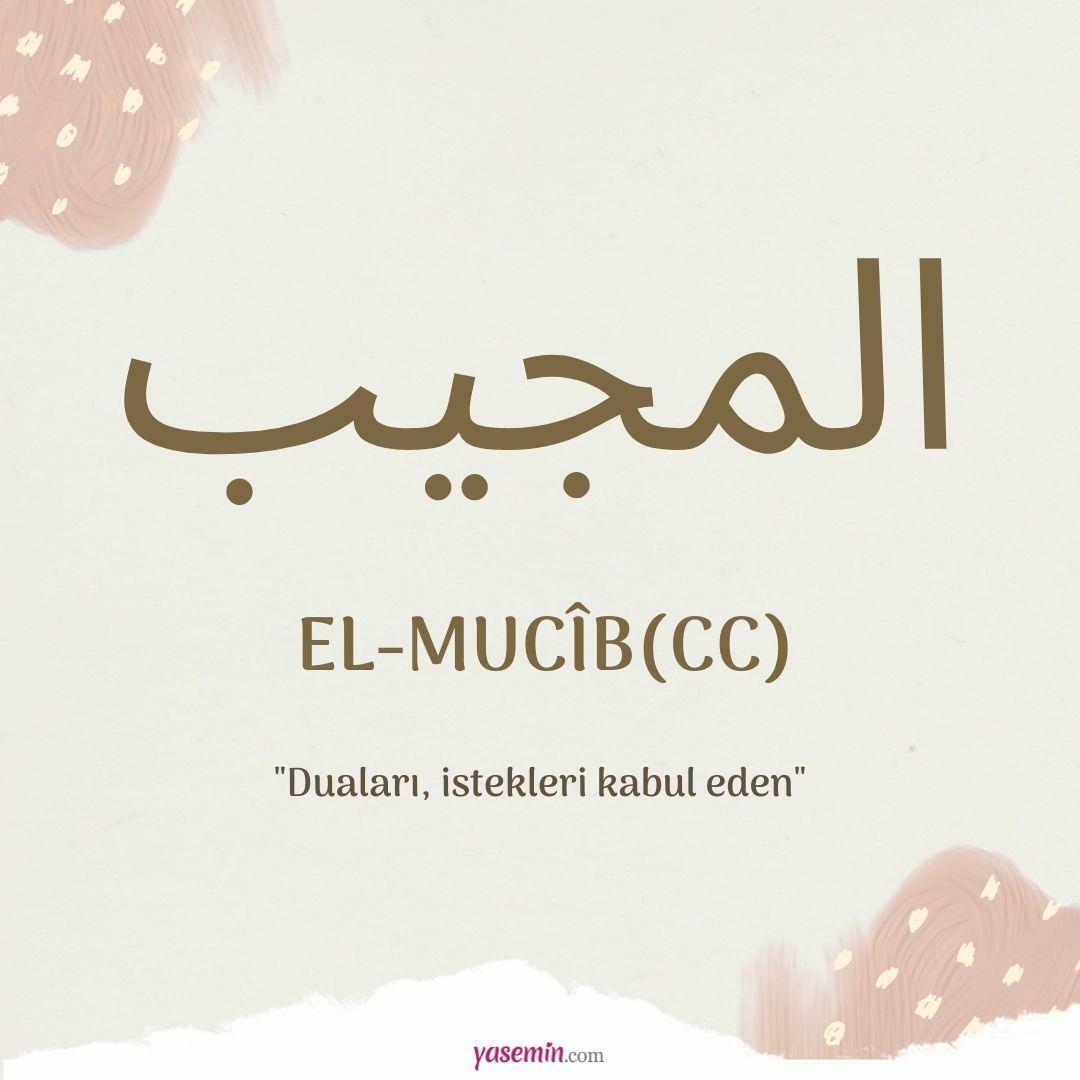 Mit jelent az al-Mujib (cc)?