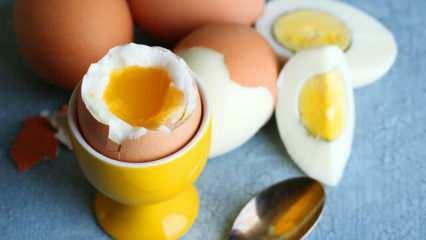 Milyen hatással van a szervezetre, ha naponta 2 tojást eszünk sahurban?