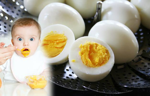 Hogyan tápláljuk a tojássárgáját babáknak? Mikor kapják a tojássárgáját a csecsemők?