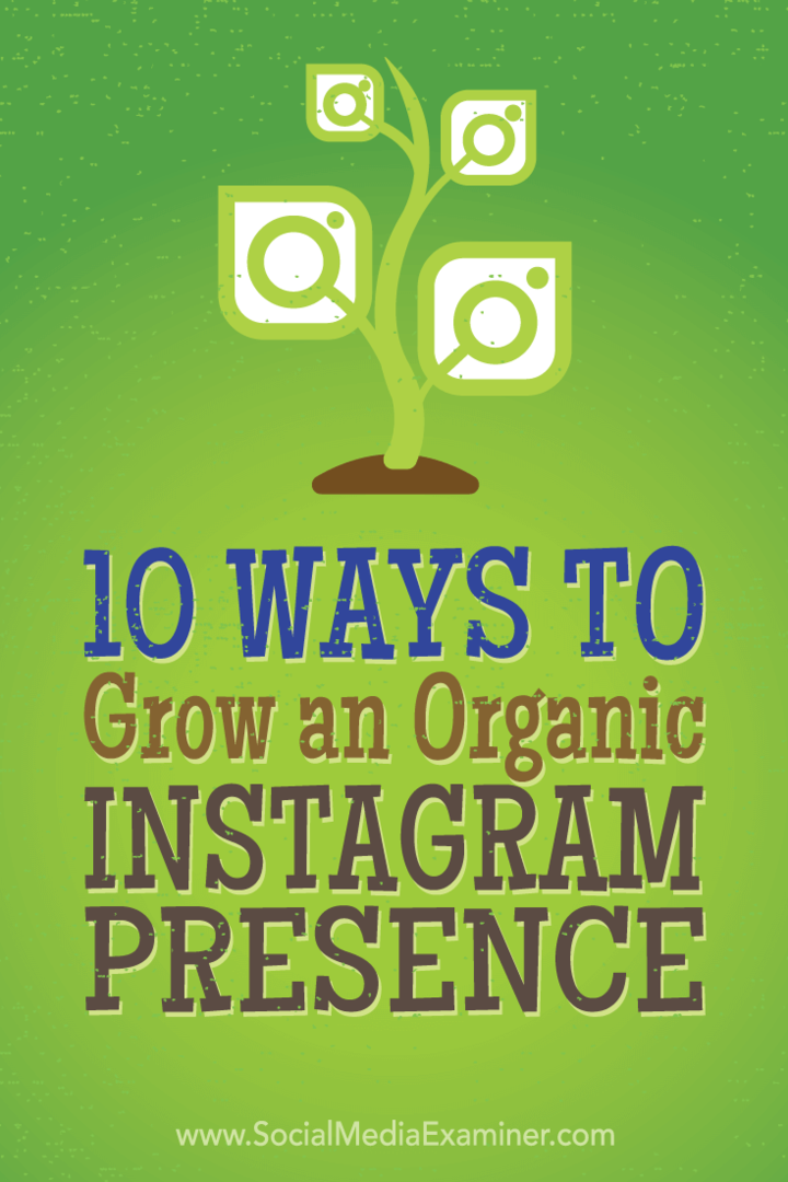 10 módszer az organikus Instagram-jelenlét növelésére: a közösségi média vizsgáztatója