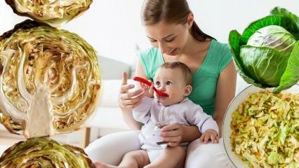 A babák esznek káposztát? Melyik hónapban kell káposztát adni a babáknak? A káposzta előnyei csecsemők számára
