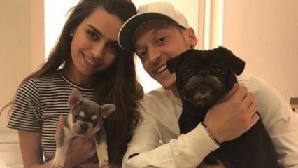 Mesut Özil ünnepli vőlegénye, Amine Gülşe születésnapját