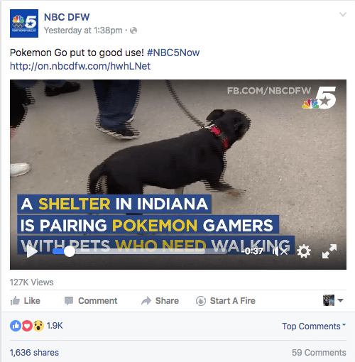 pokemon go muncie állatmenhely