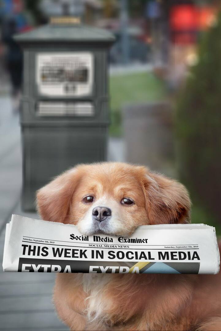 közösségi média vizsgabiztos heti hírek 2015. szeptember 5