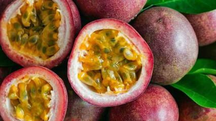 Milyen előnyei vannak a szenvedélyes gyümölcsnek? Hogyan fogyasztják a szenvedély gyümölcsöt?