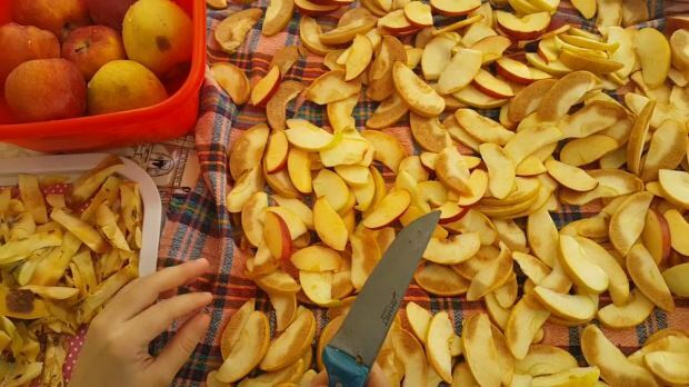 Hogyan szárítsunk meg egy almát