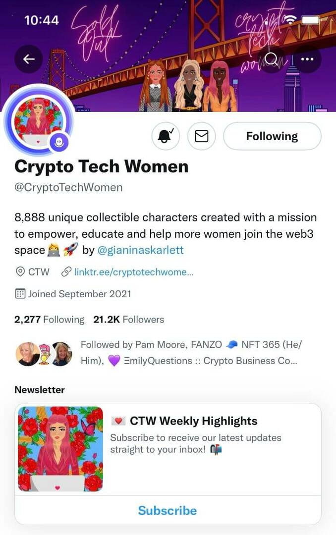 tippek-nft-community-building-nft-community-before-project-launch-twitter-crypto-tech-women-example-1