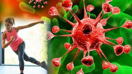 Hogyan lehet erősíteni a gyenge immunrendszert? Gyakorlatok és gyógymódok, amelyek erősítik az immunrendszert