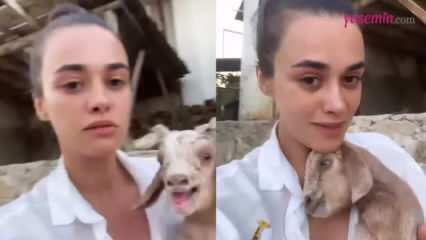 Ossza meg az újszülött bárányt a Hande Soral színésznőtől!