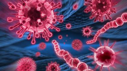 Mi a Mers vírus? Melyek a Mers vírus tünetei? Hogyan terjed a Mers vírus?