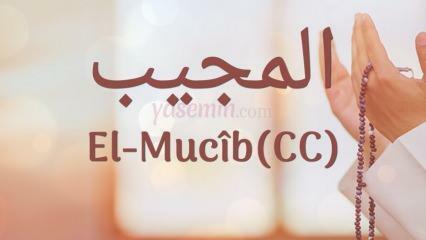 Mit jelent az al-Mujib (c.c)? Mik az Al-Mujib név erényei? Esmaul Husna Al-Mujib...