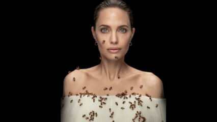 Angelina Jolie lencsében méhekkel a méhek számára!