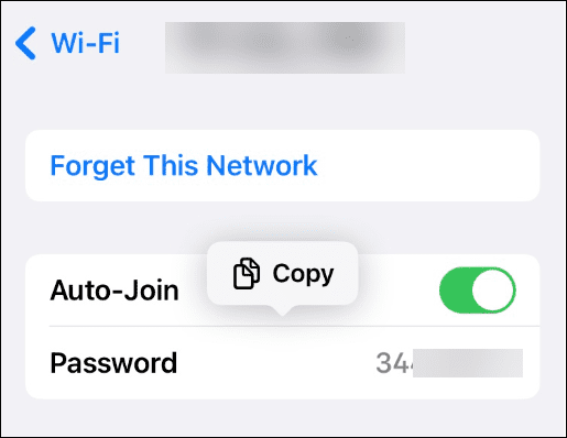 Mentett Wi-Fi hálózati jelszavak megtekintése iPhone-on