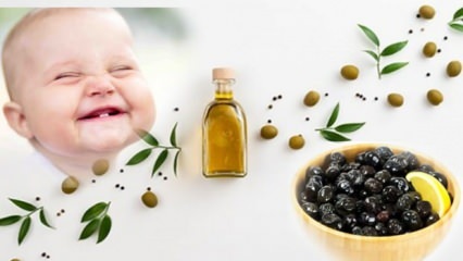 Olajbogyó készítése kevés sóval csecsemőknek! Melyik hónapban kell olívát adni a csecsemőknek?