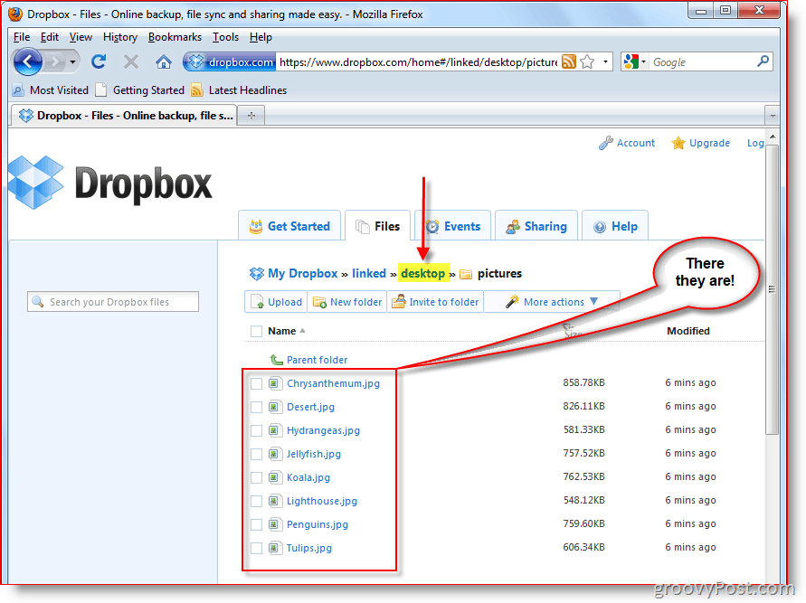 Dropbox webkonzol
