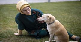 Erdoğan First Lady október 4-i, állatvédő napi bejegyzése