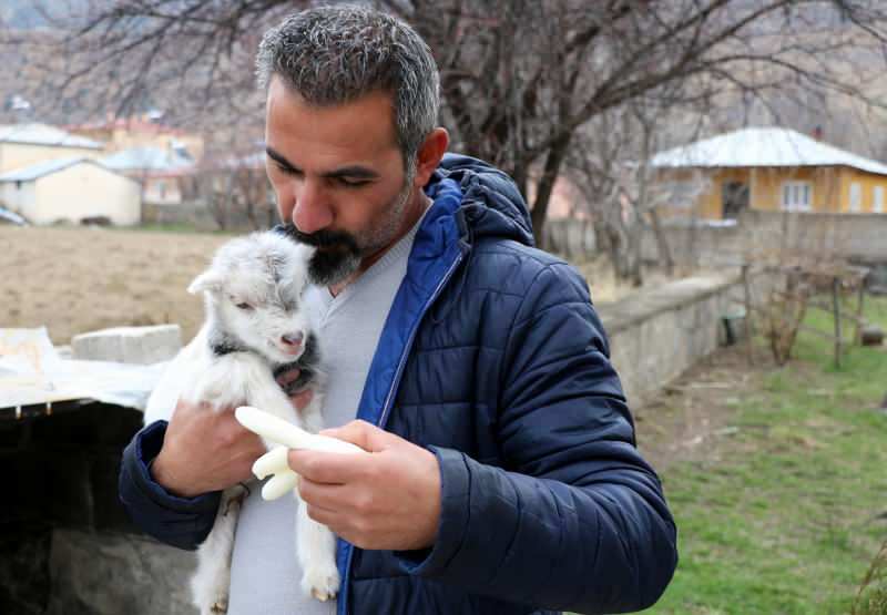 Murat Aydemir megmentette a kecske kölyök életét