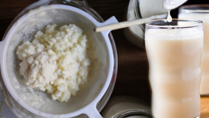 Hogyan készítik a kefirot? Milyen előnyei vannak a kefirnak? Mit jelent a kefirlé inni?