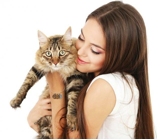 Hogyan mutatják ki a macskák a szeretetüket