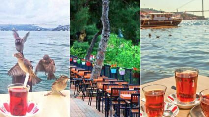 Családi teakertek Isztambul anatóliai oldalán