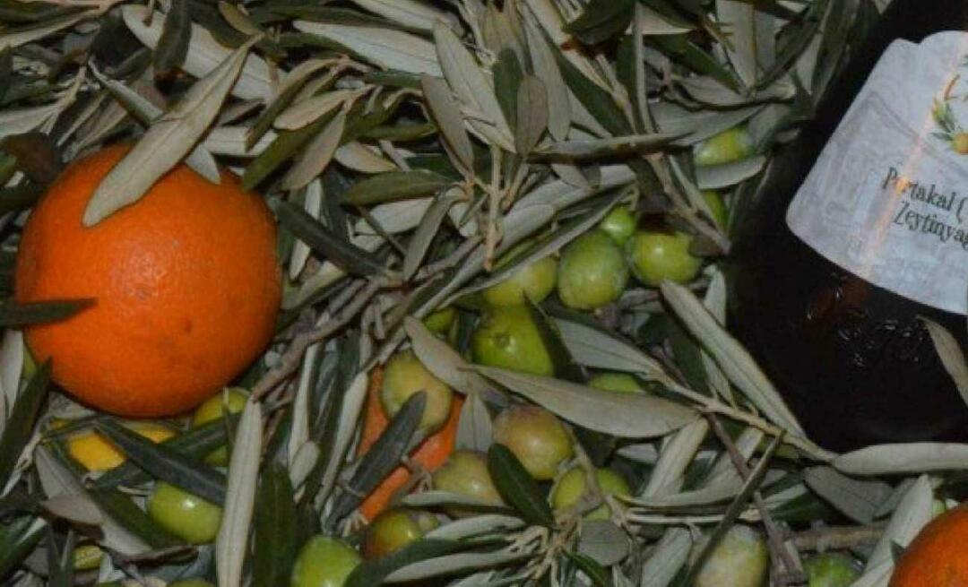 Balıkesir női vállalkozók narancsolívaolajat készítettek!