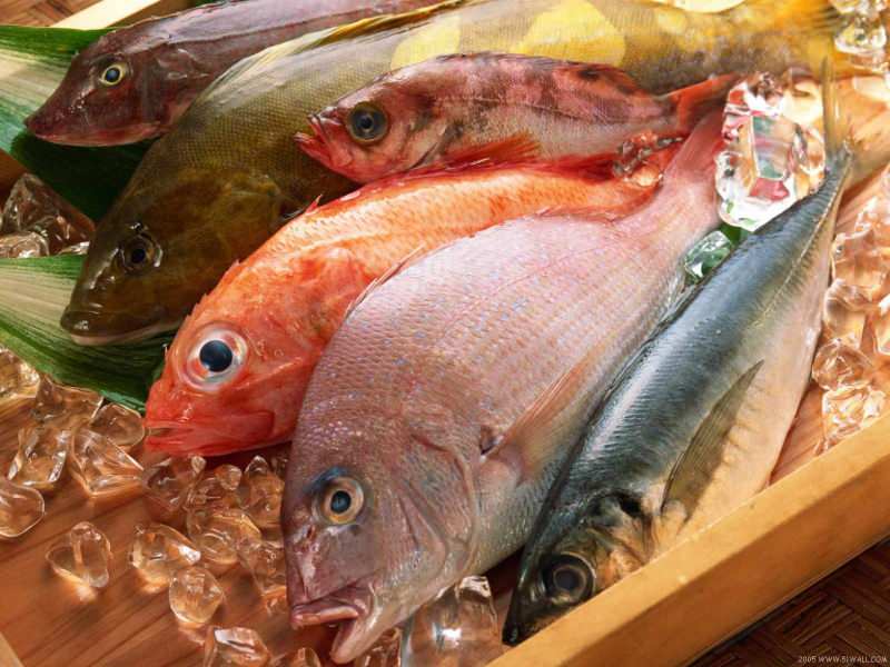 Tippek a friss hal kiválasztásához a Masterchef zsűri Mehmet Chef-től