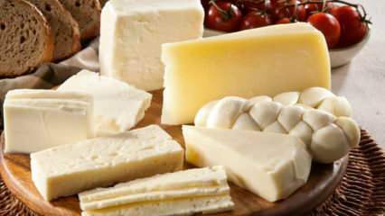 Hogyan tárolják a sajtot? Hogyan lehet sajtot tartani a hűtőszekrényből