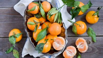 Milyen előnyei vannak a mandarinnak? Mi történik, ha egy héten mandarint eszik?