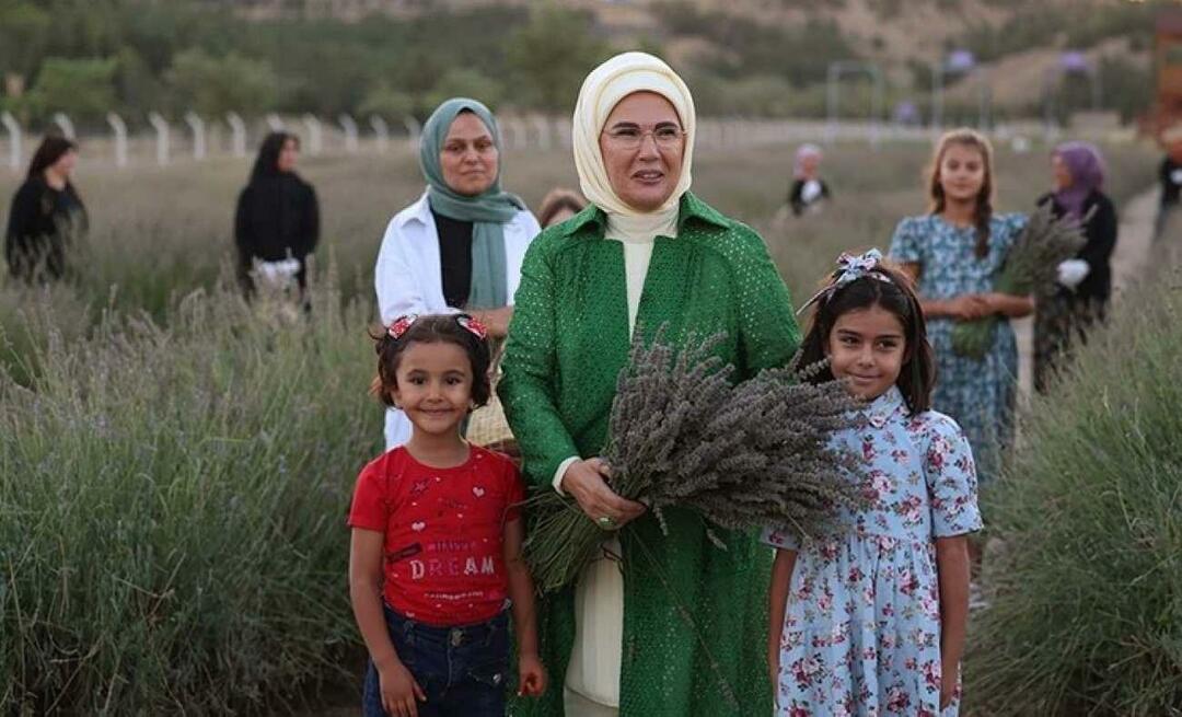 Erdoğan First Lady meglátogatta az ökológiai falut, és levendulát aratott Ankarában