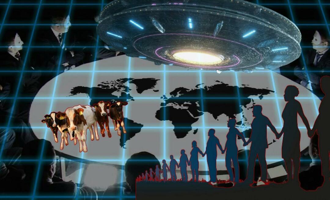 A globális világ virtuális bezártsága aktiválódott! Az állatok tengerimalacokká válnak a „virtuális kerítésért”