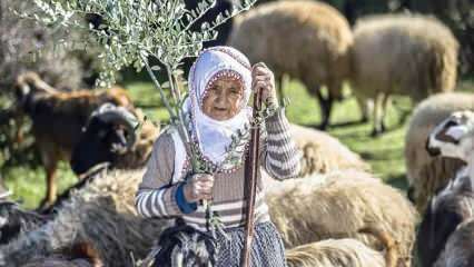 Fatma néni fél évszázada pásztor volt az Amanos-hegység lábainál!