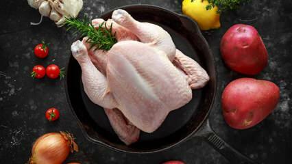Hogyan lehet megállapítani, hogy a csirke elrontott-e? Milyen jelei vannak annak, hogy a csirke romlik?