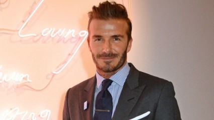 David Beckham állatok iránti szeretetét