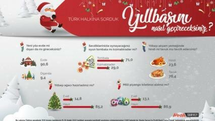 Az Areda Survey a törökök újévi preferenciáit tárgyalta! A csirkehús pulykahús az új évben...