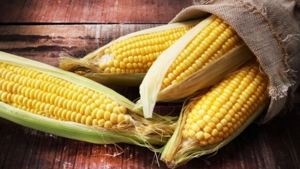 Melyek a kukorica előnyei? Iszuk főtt kukorica léét?