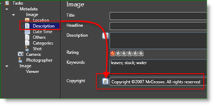 A Microsoft Pro Photo Tools fotós MetaData Auto szerzői jogi védelem:: groovyPost.com