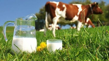 Mi a tej allergia? Mikor terjed át a tej allergia csecsemőknél? Tehéntej allergia ...