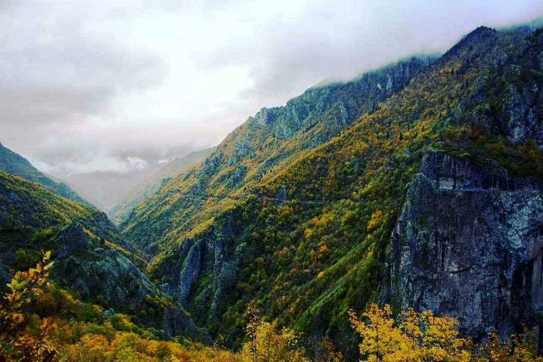 Hatila Valley Nemzeti Park