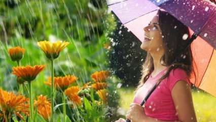 Gyógyítja az április eső? Milyen imákat kell beolvasni az esővízbe? Az április eső előnyei
