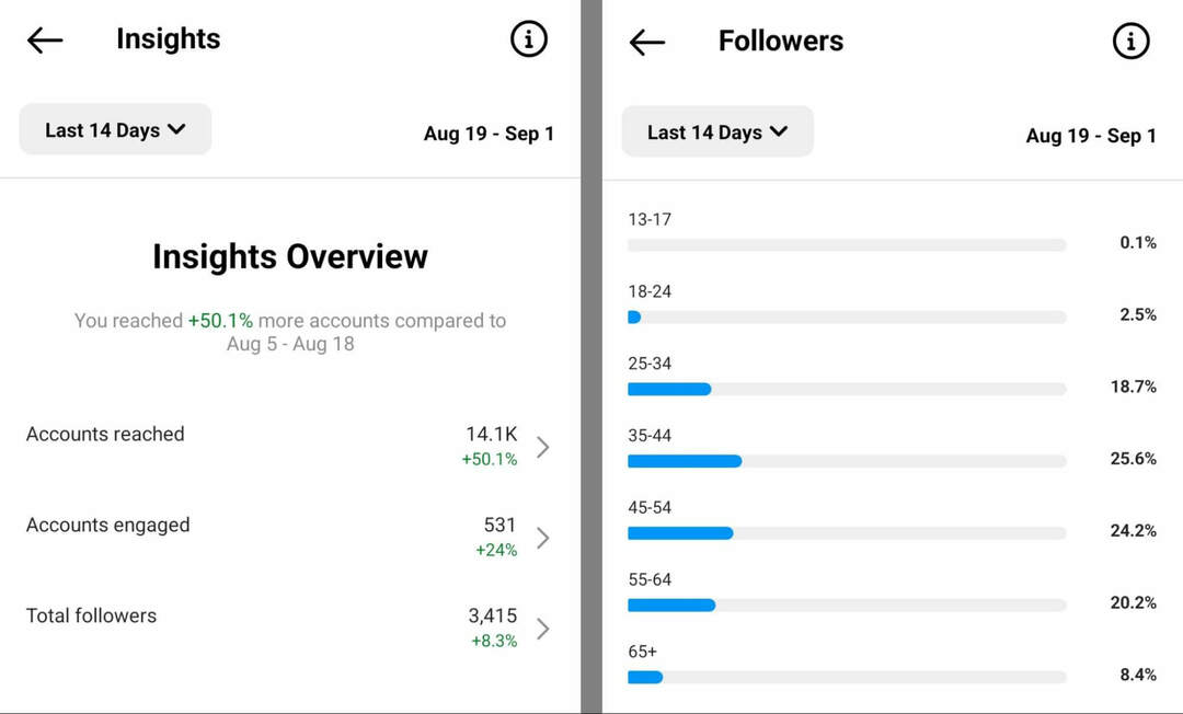 hogyan-ellenőrizheti-közönség-insights-on-Instagram-app-overview-followers-example-3