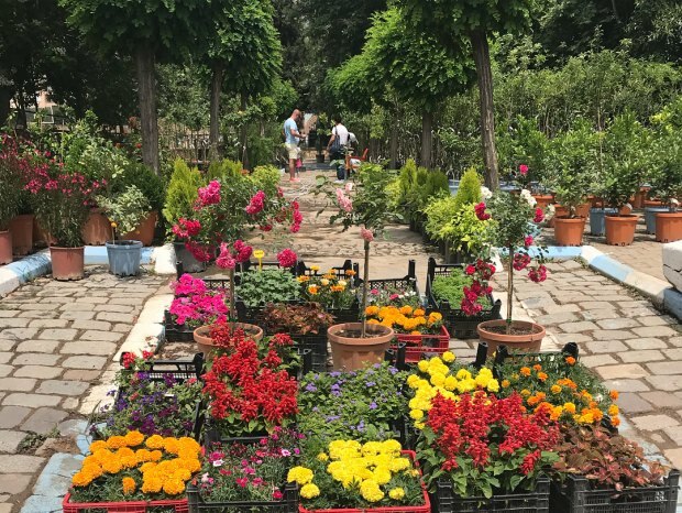 Bayındır Çiçek fesztivál túra