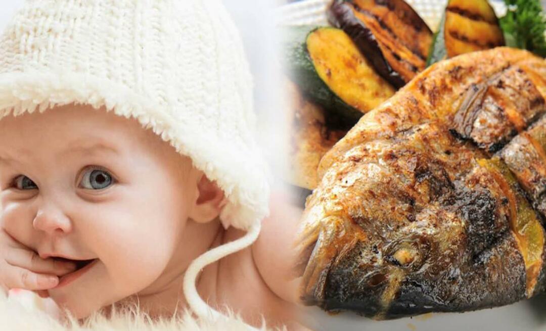 Mikor adjunk halat a babának? Hogyan adjunk halat babáknak és hogyan főzzük meg?