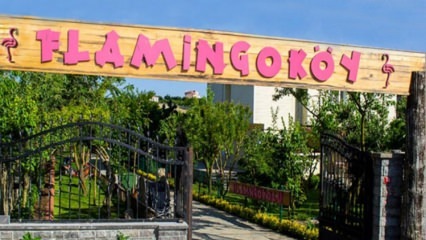 Hol van a Flamingo Village? Hogyan juthat el oda? Mennyibe kerül a reggeli ára?